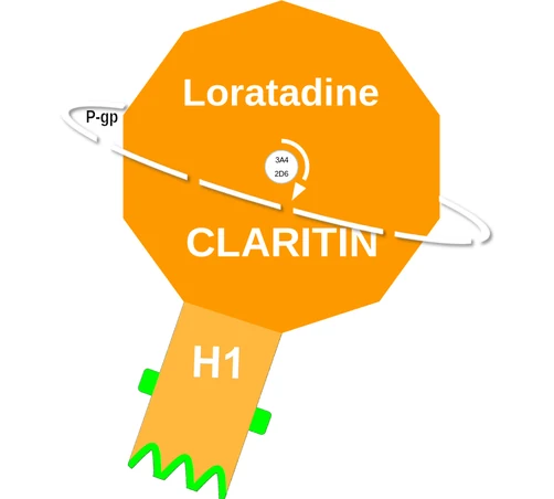 Loratadine ballicule — decagon diagram of its receptor and enzyme targets