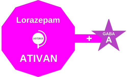 Lorazepam ballicule — decagon diagram of its receptor and enzyme targets