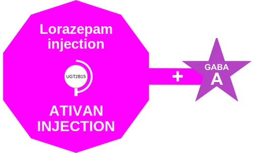 Lorazepam injection ballicule — decagon diagram of its receptor and enzyme targets