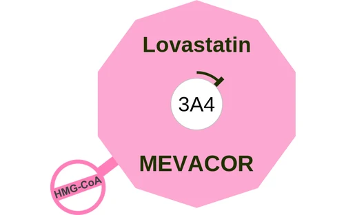 Lovastatin ballicule — decagon diagram of its receptor and enzyme targets