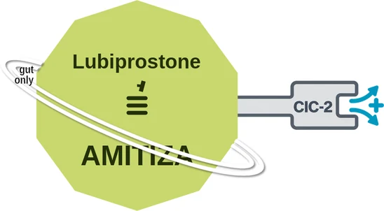 Lubiprostone ballicule — decagon diagram of its receptor and enzyme targets
