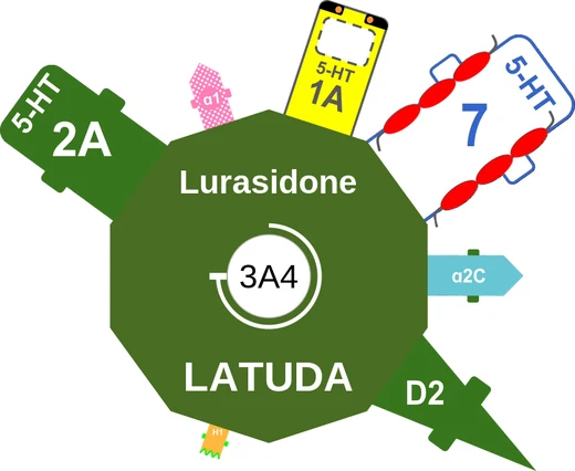 Lurasidone ballicule — decagon diagram of its receptor and enzyme targets