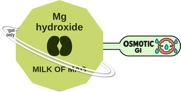 Mg hydroxide ballicule — decagon diagram of its receptor and enzyme targets