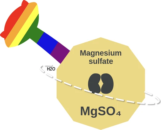 Magnesium sulfate ballicule — decagon diagram of its receptor and enzyme targets