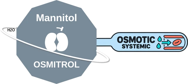 Mannitol ballicule — decagon diagram of its receptor and enzyme targets