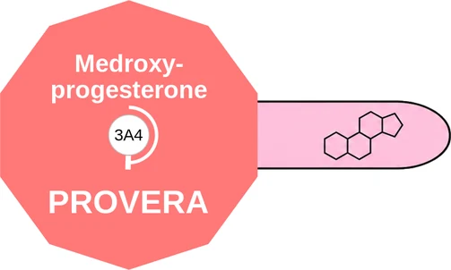 Medroxyprogesterone ballicule — decagon diagram of its receptor and enzyme targets