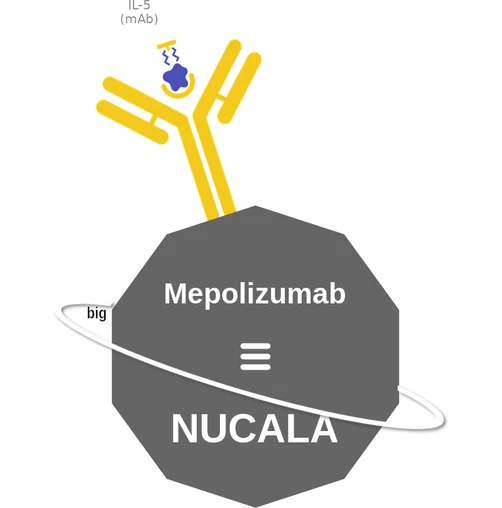 Mepolizumab ballicule — decagon diagram of its receptor and enzyme targets