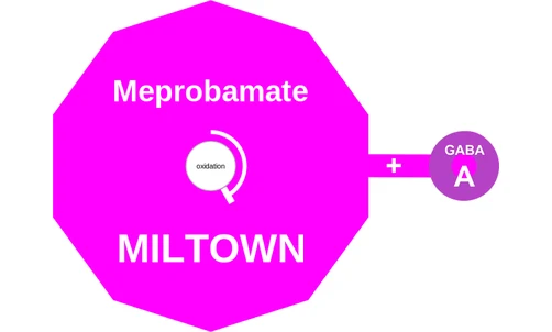 Meprobamate ballicule — decagon mechanism diagram
