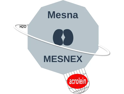 Mesna ballicule — decagon diagram of its receptor and enzyme targets