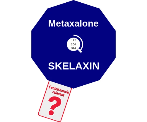 Metaxalone ballicule — decagon diagram of its receptor and enzyme targets