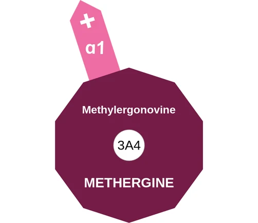 Methylergonovine ballicule — decagon diagram of its receptor and enzyme targets