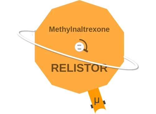 Methylnaltrexone ballicule — decagon diagram of its receptor and enzyme targets