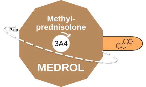Methylprednisolone ballicule — decagon diagram of its receptor and enzyme targets