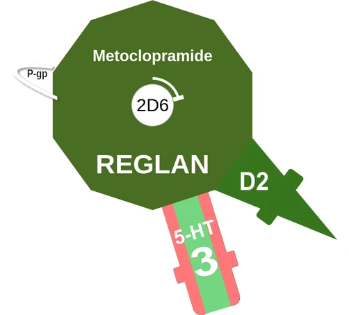 Metoclopramide ballicule — decagon diagram of its receptor and enzyme targets