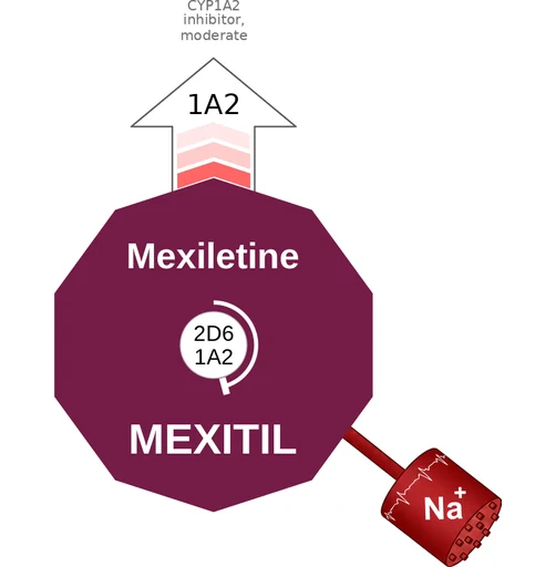 Mexiletine ballicule — decagon diagram of its receptor and enzyme targets