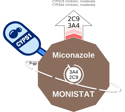 Miconazole ballicule — decagon diagram of its receptor and enzyme targets