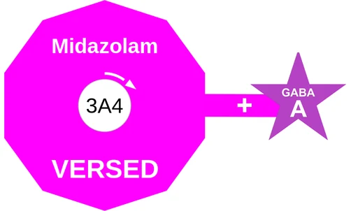 Midazolam ballicule — decagon diagram of its receptor and enzyme targets