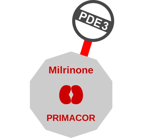 Milrinone ballicule — decagon diagram of its receptor and enzyme targets