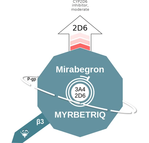 Mirabegron ballicule — decagon diagram of its receptor and enzyme targets