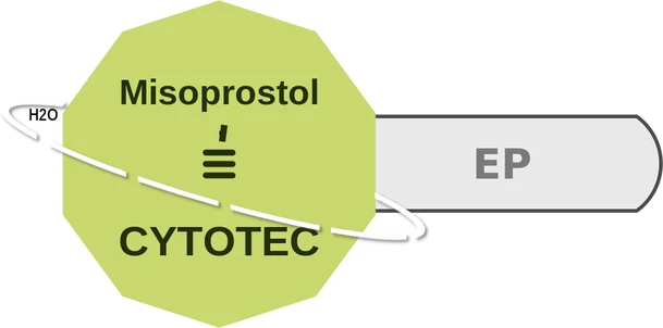 Misoprostol ballicule — decagon diagram of its receptor and enzyme targets