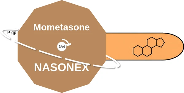 Mometasone ballicule — decagon diagram of its receptor and enzyme targets