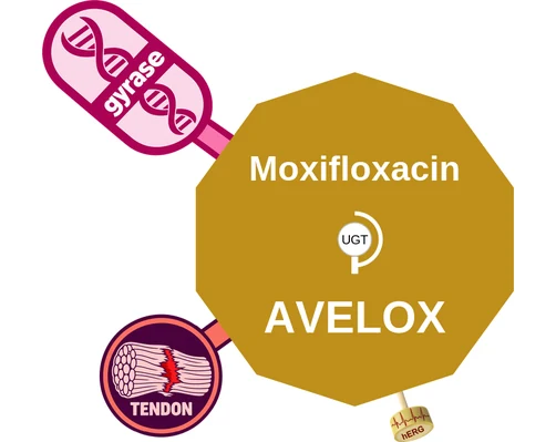 Moxifloxacin ballicule — decagon diagram of its receptor and enzyme targets