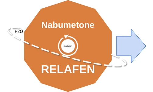 Nabumetone ballicule — decagon diagram of its receptor and enzyme targets