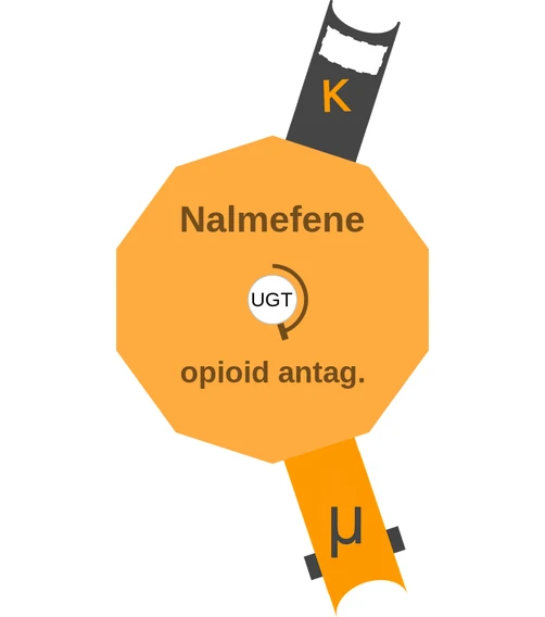 Nalmefene ballicule — decagon diagram of its receptor and enzyme targets
