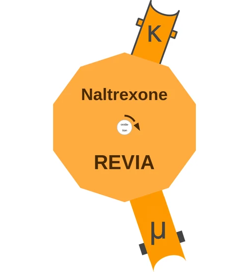 Naltrexone ballicule — decagon diagram of its receptor and enzyme targets