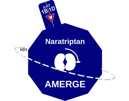 Naratriptan ballicule — decagon diagram of its receptor and enzyme targets