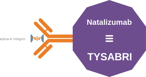 Natalizumab ballicule — decagon diagram of its receptor and enzyme targets