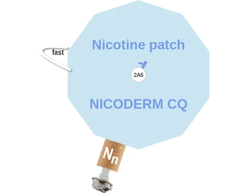 Nicotine patch ballicule — decagon diagram of its receptor and enzyme targets