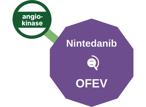 Nintedanib ballicule — decagon diagram of its receptor and enzyme targets