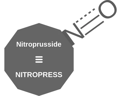 Nitroprusside ballicule — decagon diagram of its receptor and enzyme targets