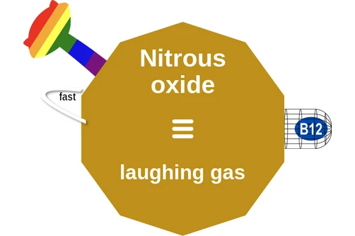 Nitrous oxide ballicule — decagon diagram of its receptor and enzyme targets