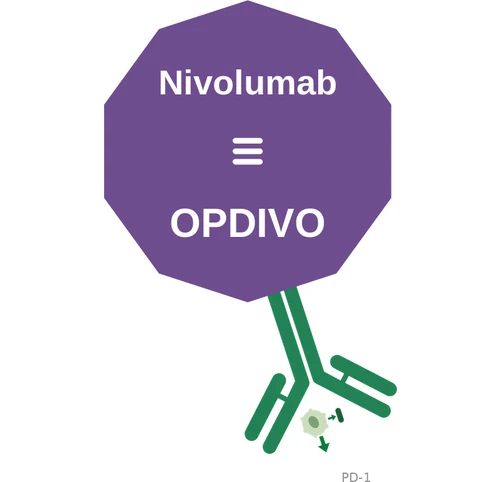 Nivolumab ballicule — decagon diagram of its receptor and enzyme targets