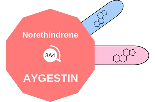 Norethindrone ballicule — decagon diagram of its receptor and enzyme targets