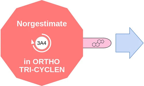 Norgestimate ballicule — decagon diagram of its receptor and enzyme targets
