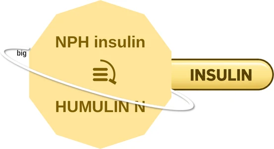 NPH insulin ballicule — decagon diagram of its receptor and enzyme targets