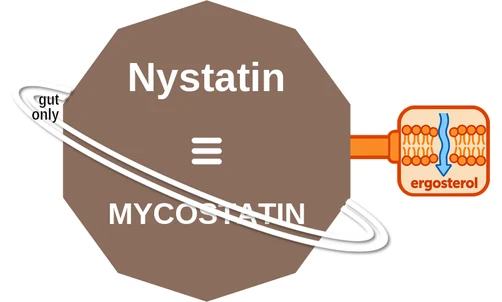 Nystatin ballicule — decagon diagram of its receptor and enzyme targets