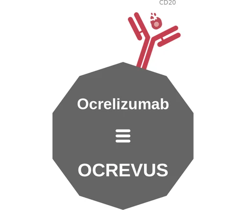 Ocrelizumab ballicule — decagon diagram of its receptor and enzyme targets