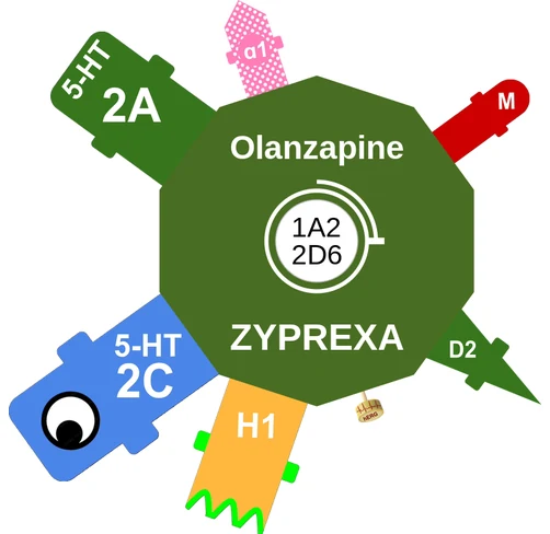 Olanzapine ballicule — decagon diagram of its receptor and enzyme targets