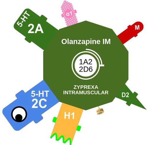 Olanzapine IM ballicule — decagon diagram of its receptor and enzyme targets