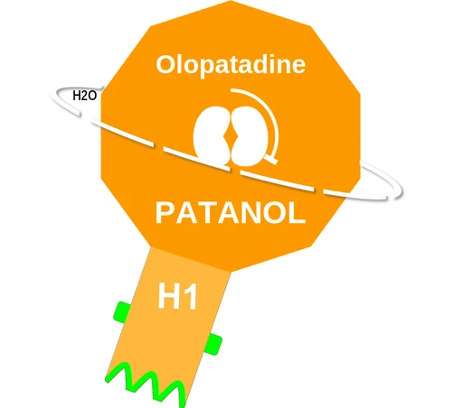 Olopatadine ballicule — decagon diagram of its receptor and enzyme targets