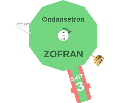 Ondansetron ballicule — decagon diagram of its receptor and enzyme targets