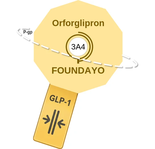 Orforglipron ballicule — decagon diagram of its receptor and enzyme targets