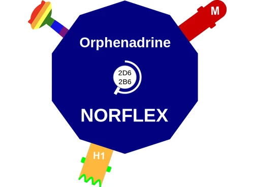 Orphenadrine ballicule — decagon diagram of its receptor and enzyme targets