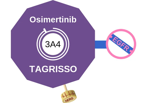 Osimertinib ballicule — decagon diagram of its receptor and enzyme targets
