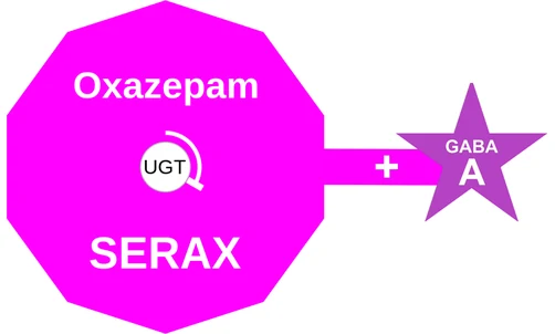 Oxazepam ballicule — decagon diagram of its receptor and enzyme targets