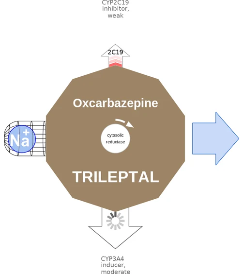 Oxcarbazepine ballicule — decagon diagram of its receptor and enzyme targets